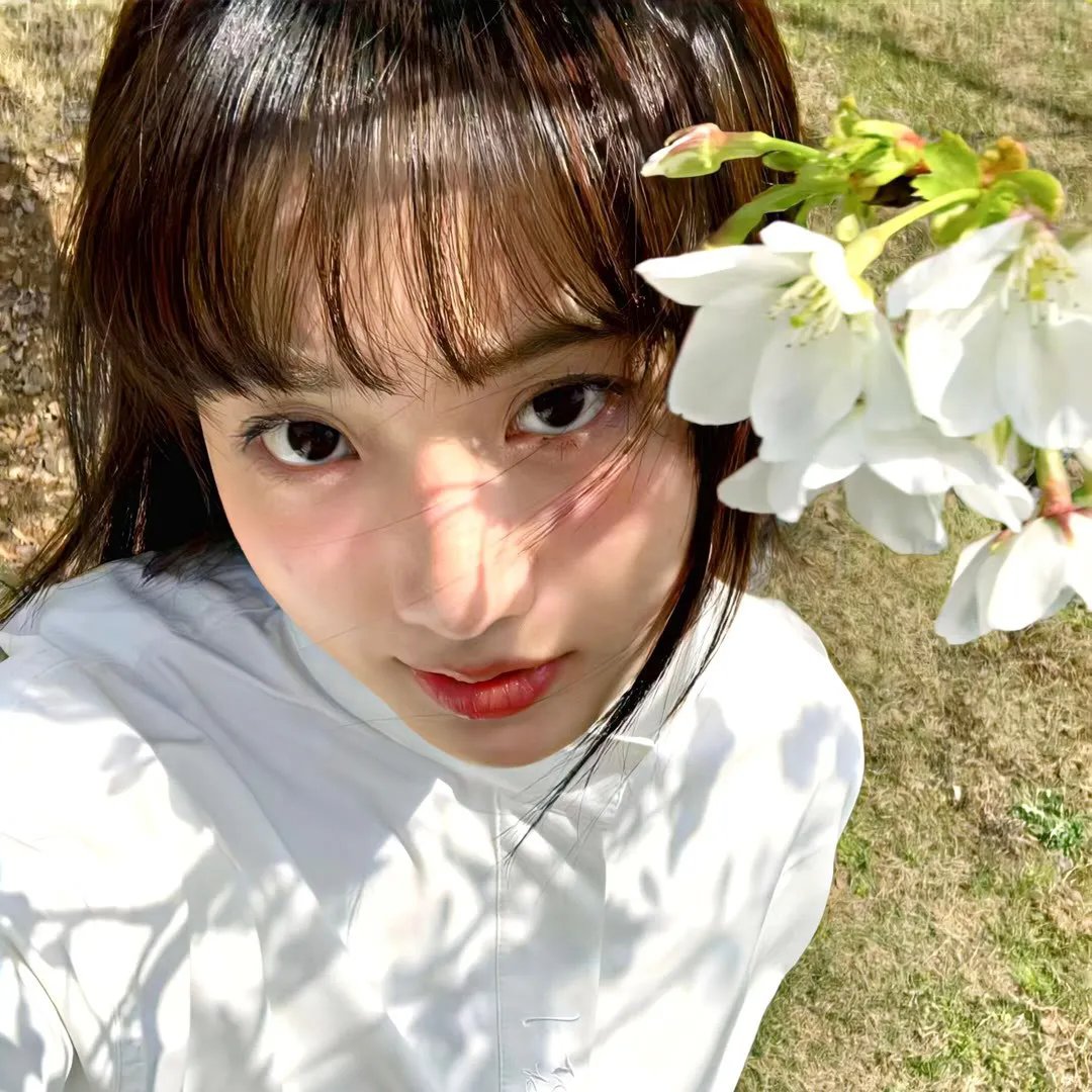 灰色彩虹