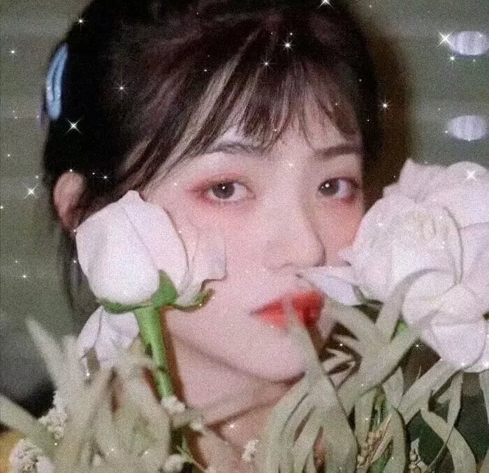 月刊少女野崎君